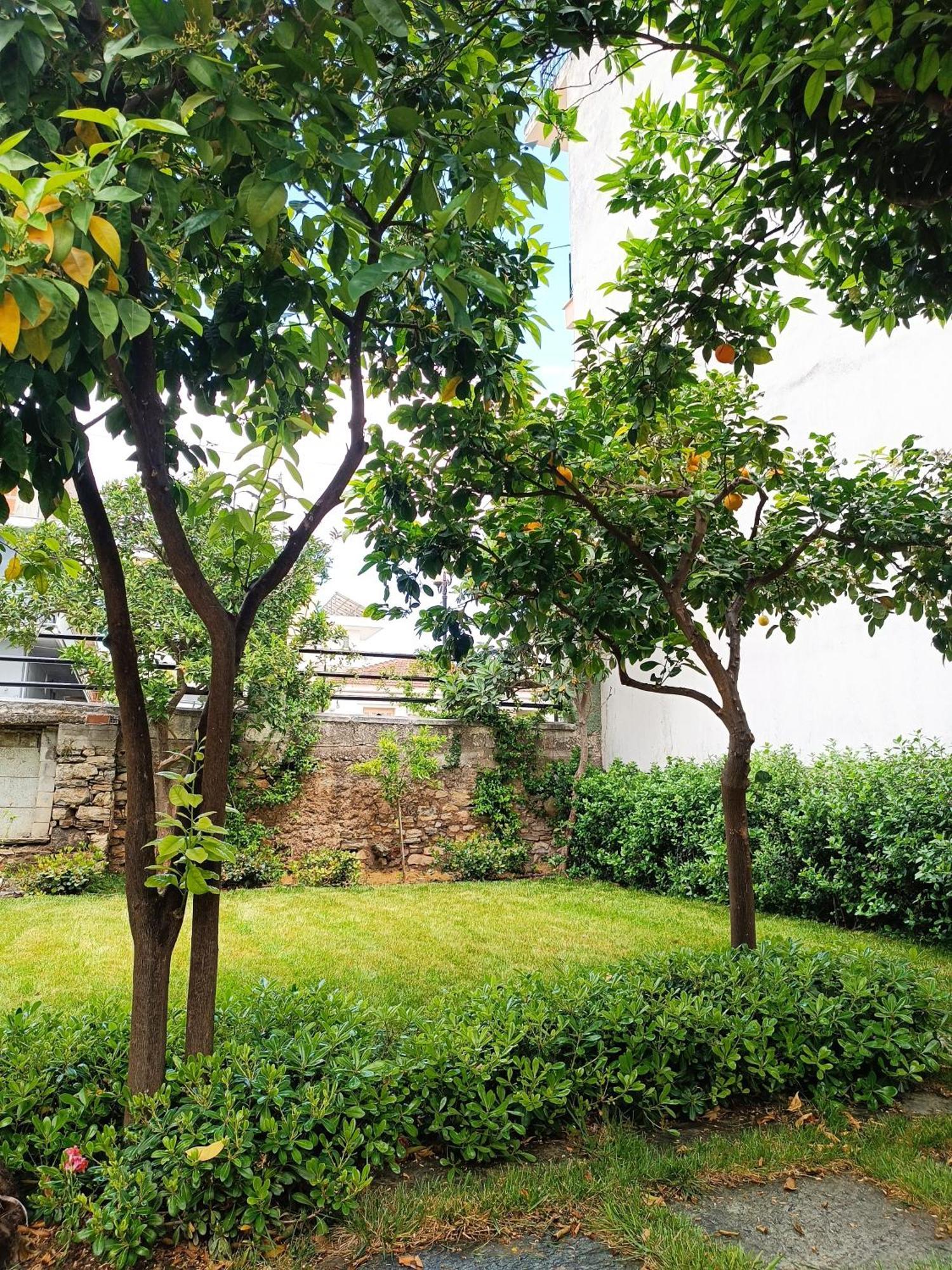 הוילה Néa Ankhíalos Betty'S Garden House מראה חיצוני תמונה