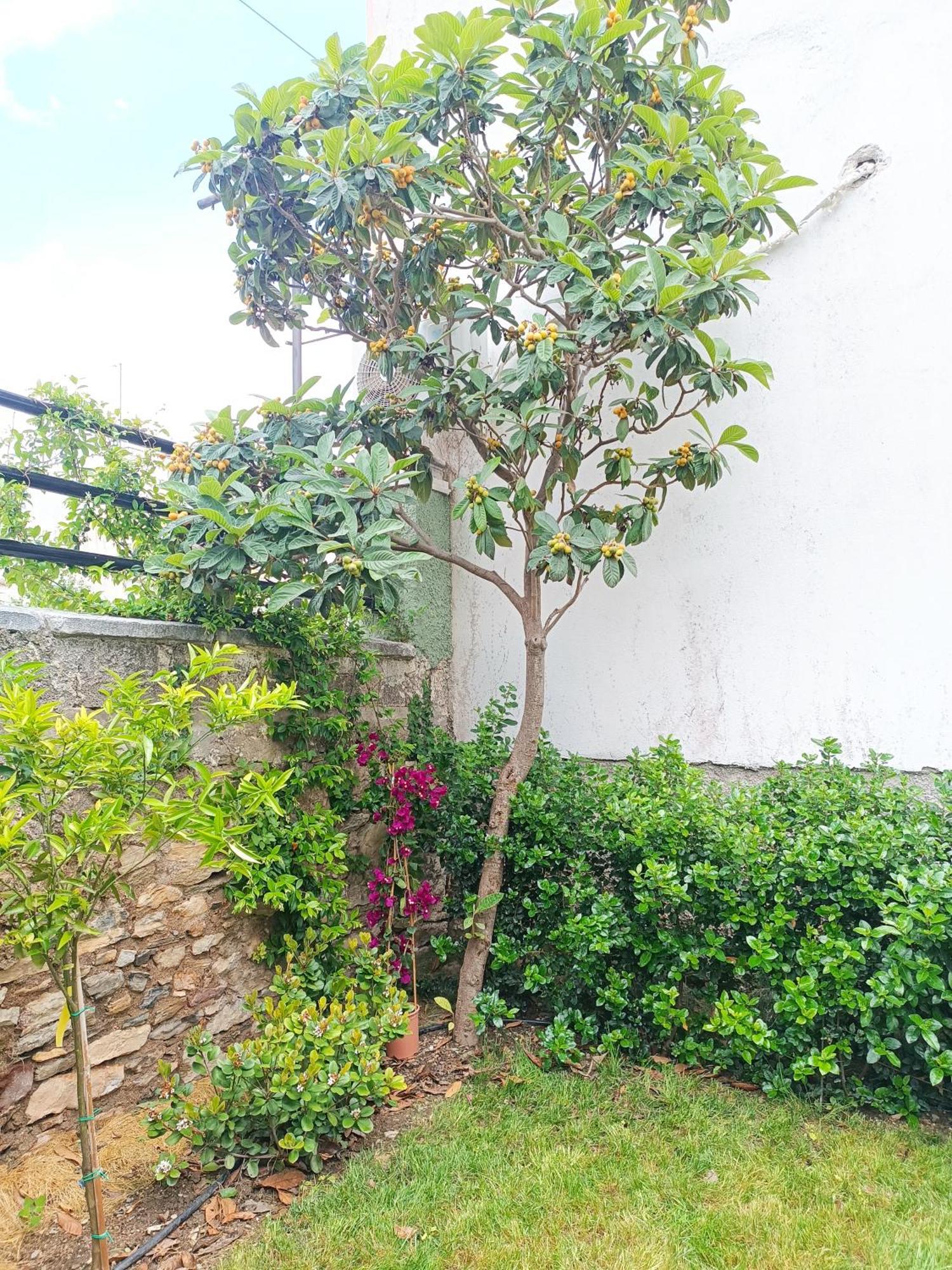 הוילה Néa Ankhíalos Betty'S Garden House חדר תמונה