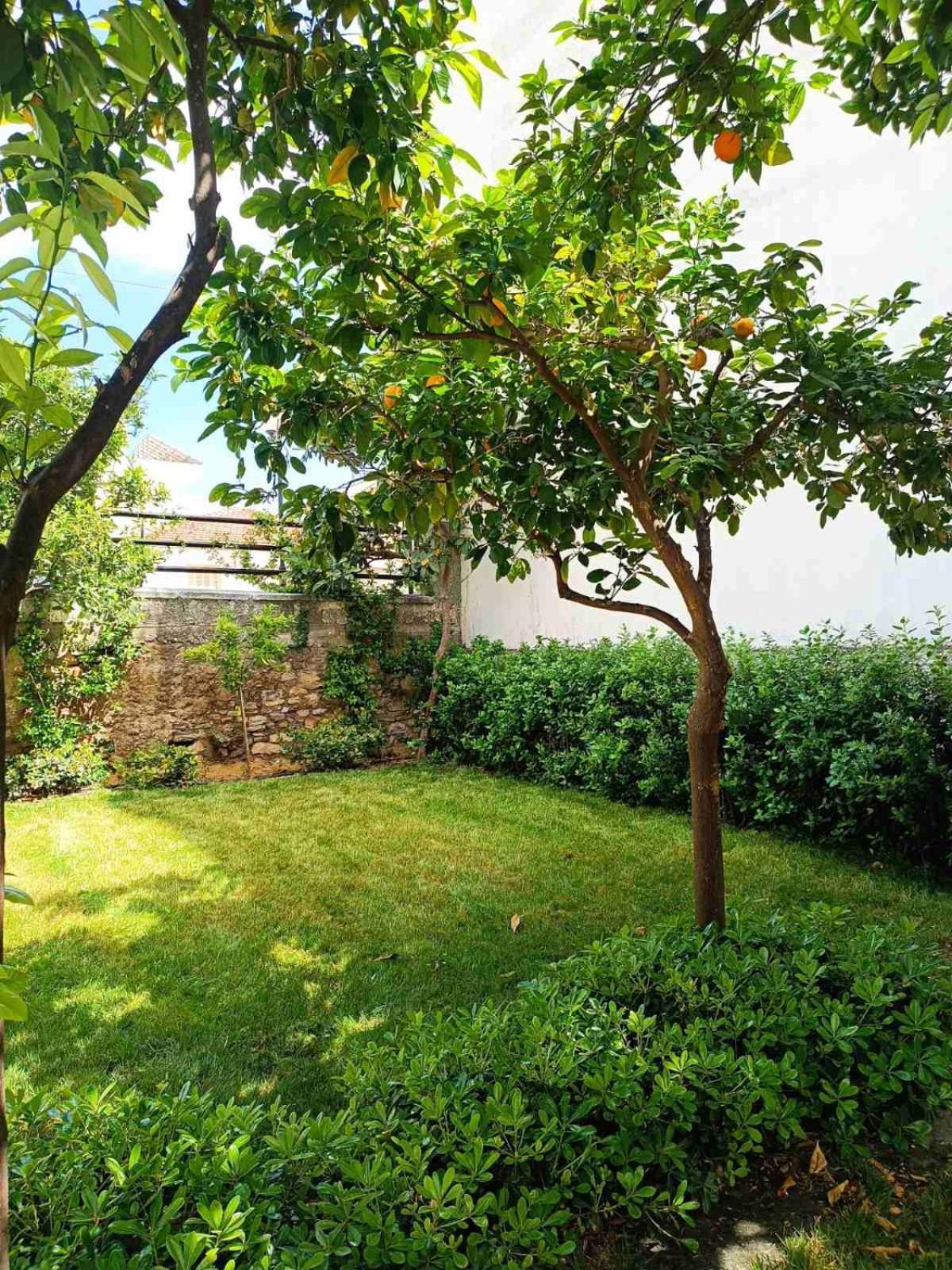 הוילה Néa Ankhíalos Betty'S Garden House מראה חיצוני תמונה