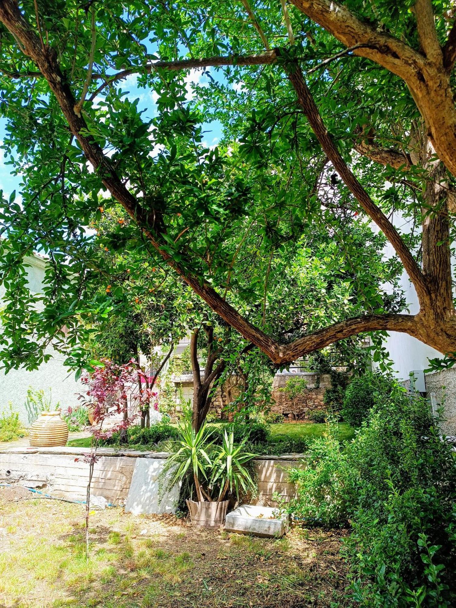 הוילה Néa Ankhíalos Betty'S Garden House חדר תמונה